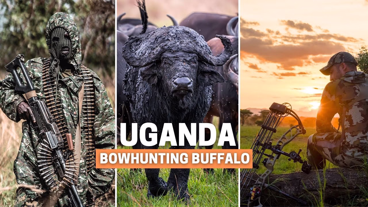 BÚFALOS UGANDA