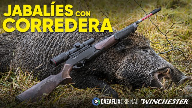 WINCHESTER-FRANCIA-JABALÍ-OK