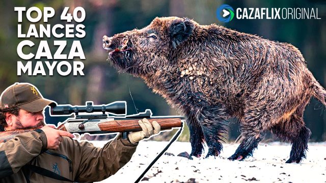 Mejores lances a caza mayor 2024