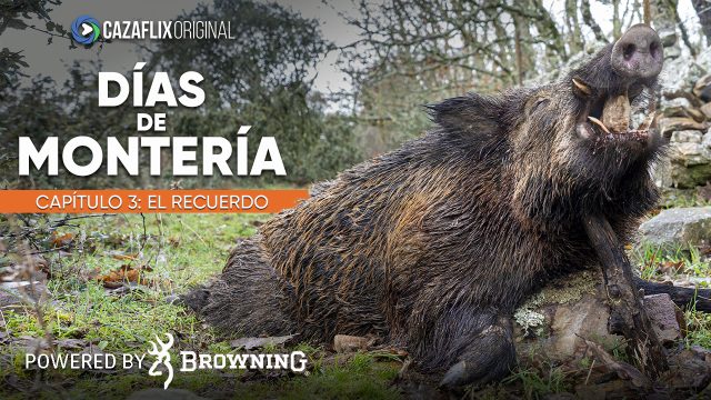 Días de Montería #3 | El Recuerdo