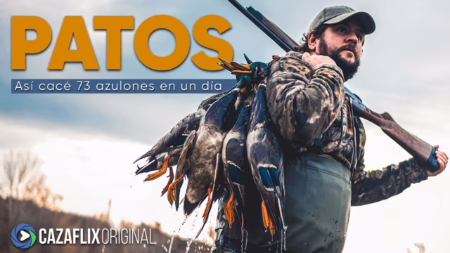 PATOS-OK