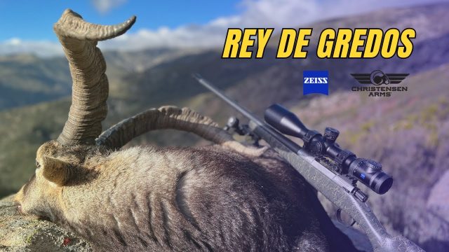 REY GREDOS
