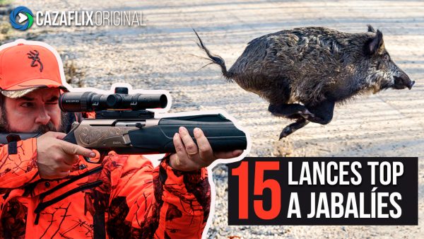 Top 15 lances de caza a jabalí