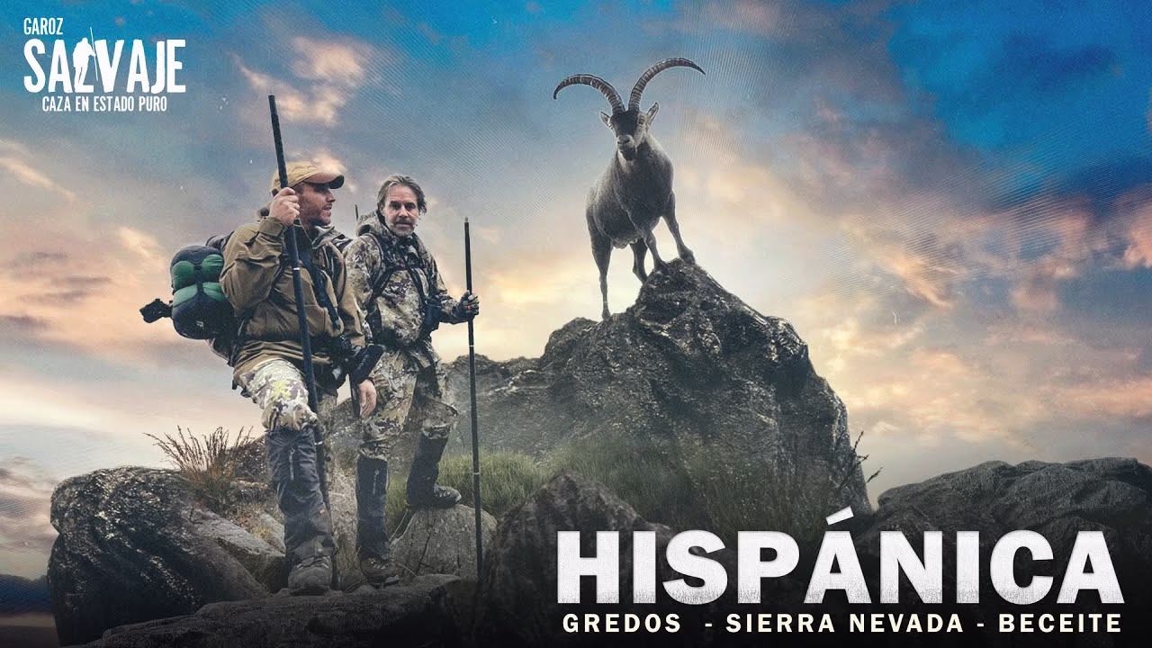 HISPÁNICA