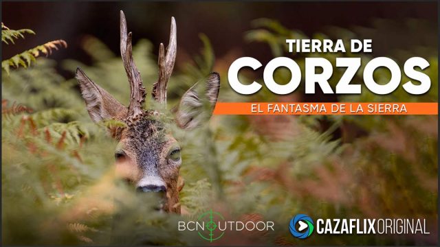 TDC-FANTASMA-DE-SIERRA