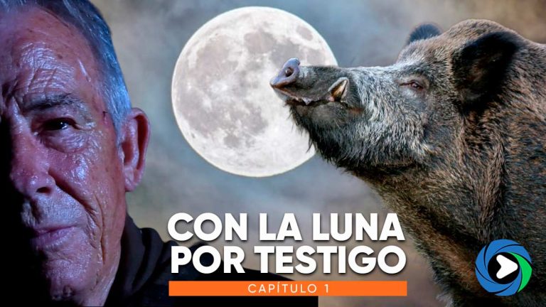 Con la luna por testigo | Capítulo 1