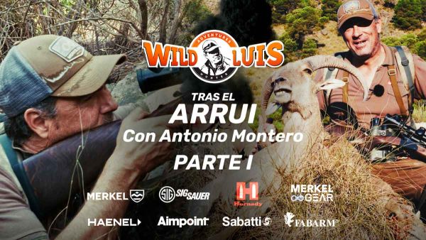 WILD-LUIS-ARRUI