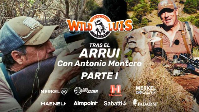 WILD-LUIS-ARRUI