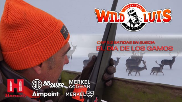 Batidas en Suecia | Capítulo 3