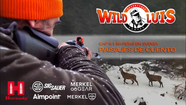 Batidas en Suecia | Capítulo 1