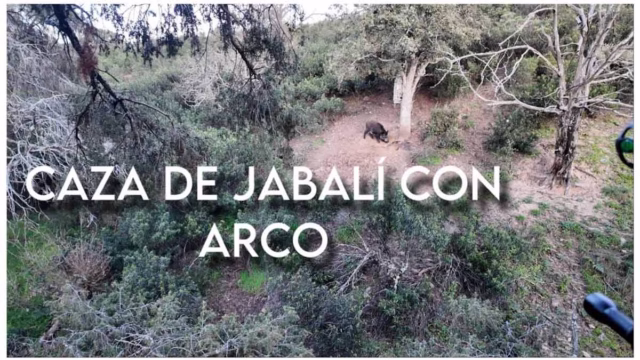 Caza de jabalí con arco