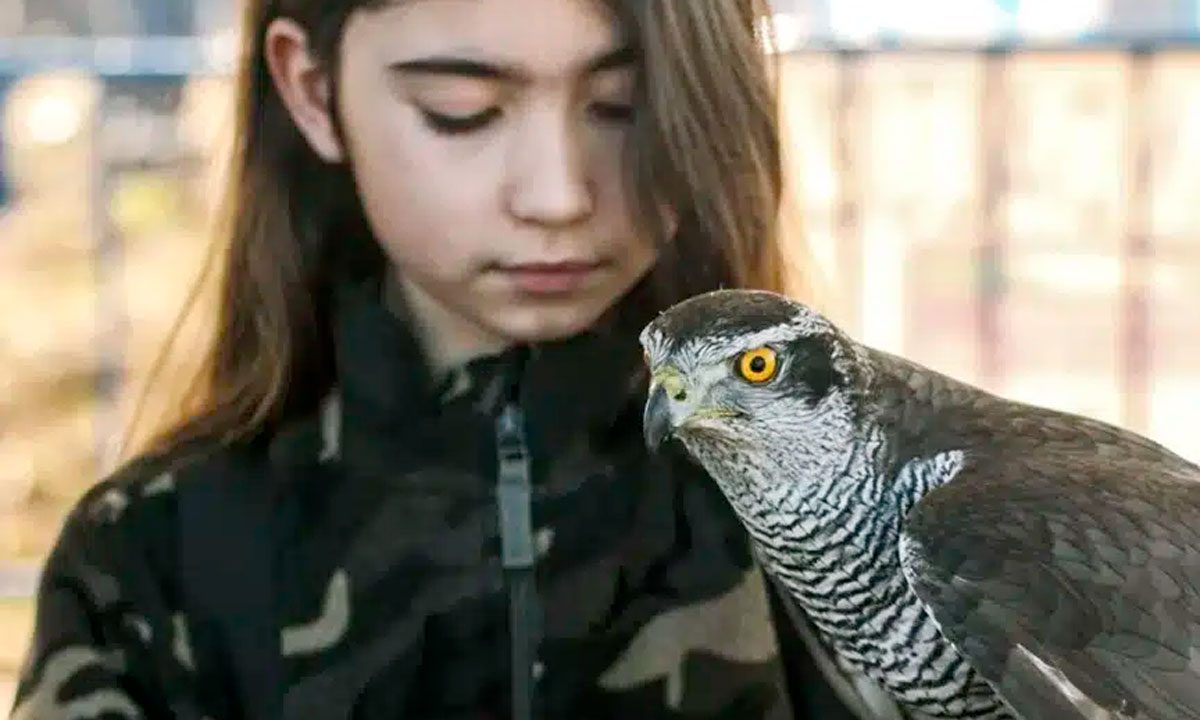 Una niña en una de las actividades de la FAC.