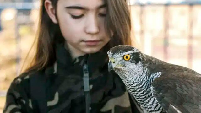 Una niña en una de las actividades de la FAC.