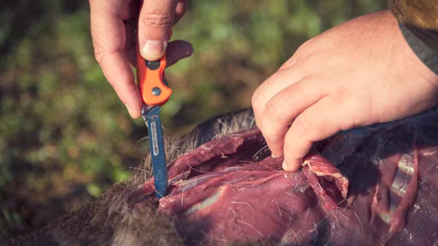 Carne de caza.
