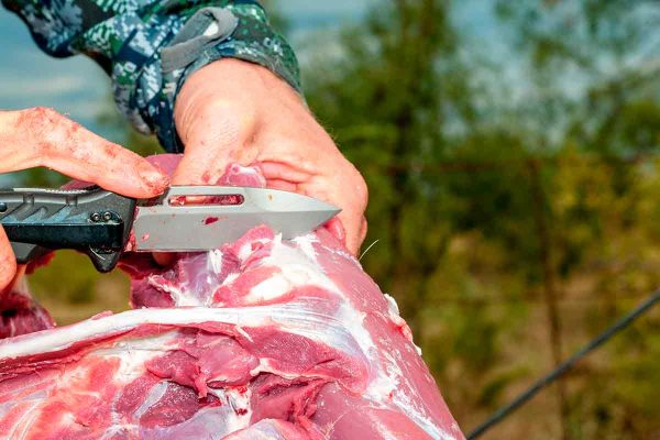 El Seprona intercepta un jamón y un lomo de corzo en una carretera andaluza y acusa al conductor de furtivismo