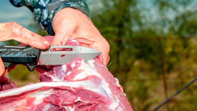 El Seprona intercepta un jamón y un lomo de corzo en una carretera andaluza y acusa al conductor de furtivismo