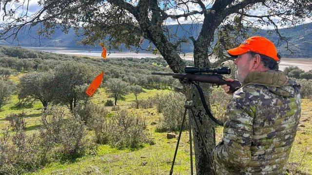 Un cazador en u puesto de montería.