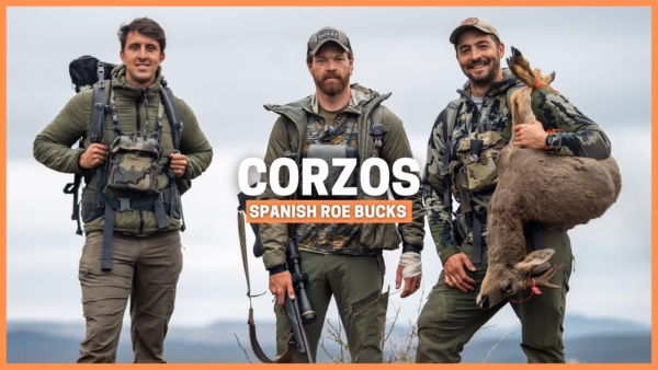 CORZO AMPUERO