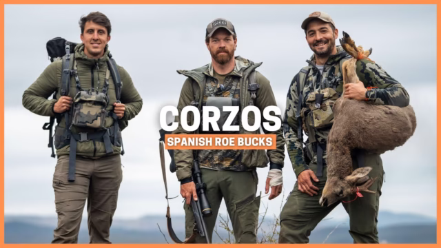 CORZO AMPUERO