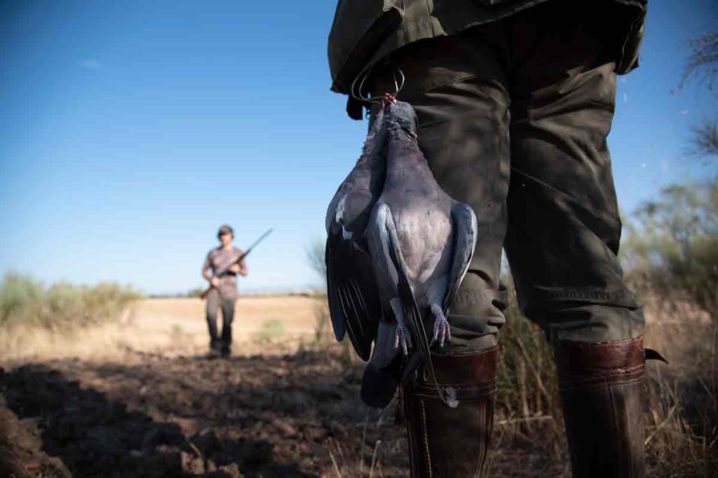 Dos cazadores en media veda.