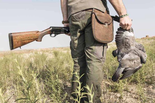 Un cazador con una paloma de verano