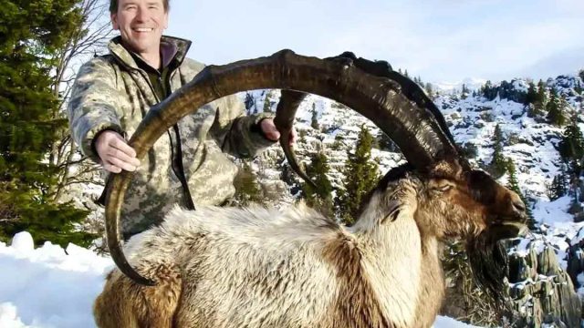 Fernando Saiz Luca de Tena.