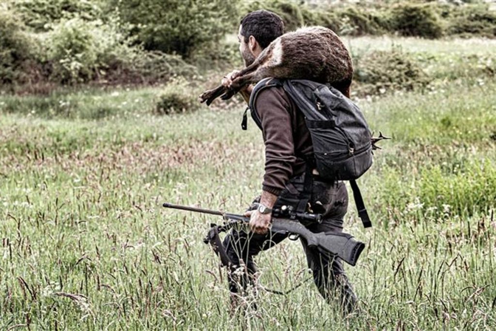 Cazaflix corzo serie Sin Cobertura