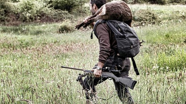 Cazaflix corzo serie Sin Cobertura