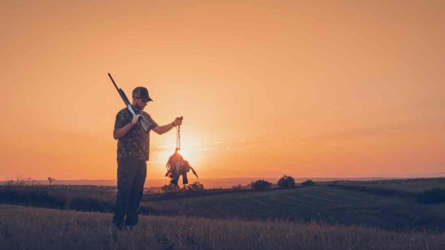 Un cazador en media veda.