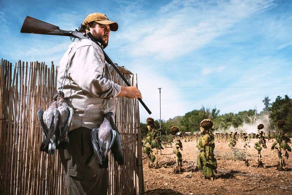 Ejercicios para media veda.