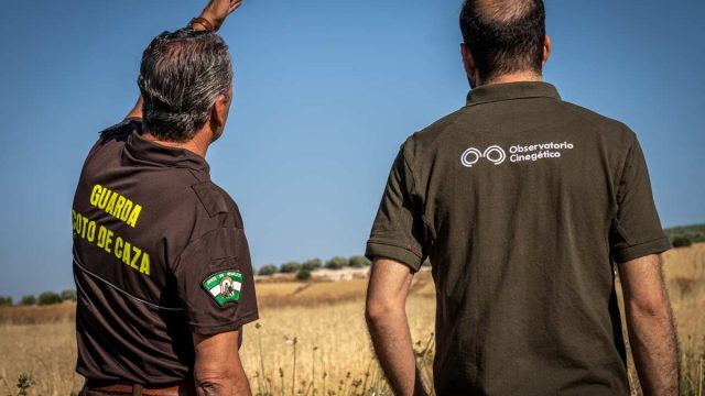 observatorio-cinegetico