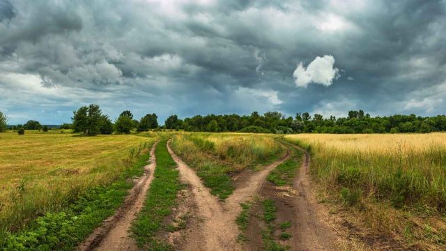 Camino rural.