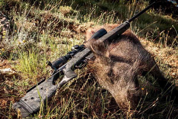 Con la luna por testigo.