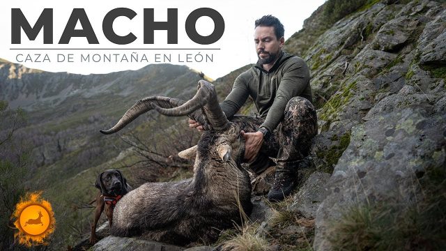Rececho de Macho Montés | Caza en León