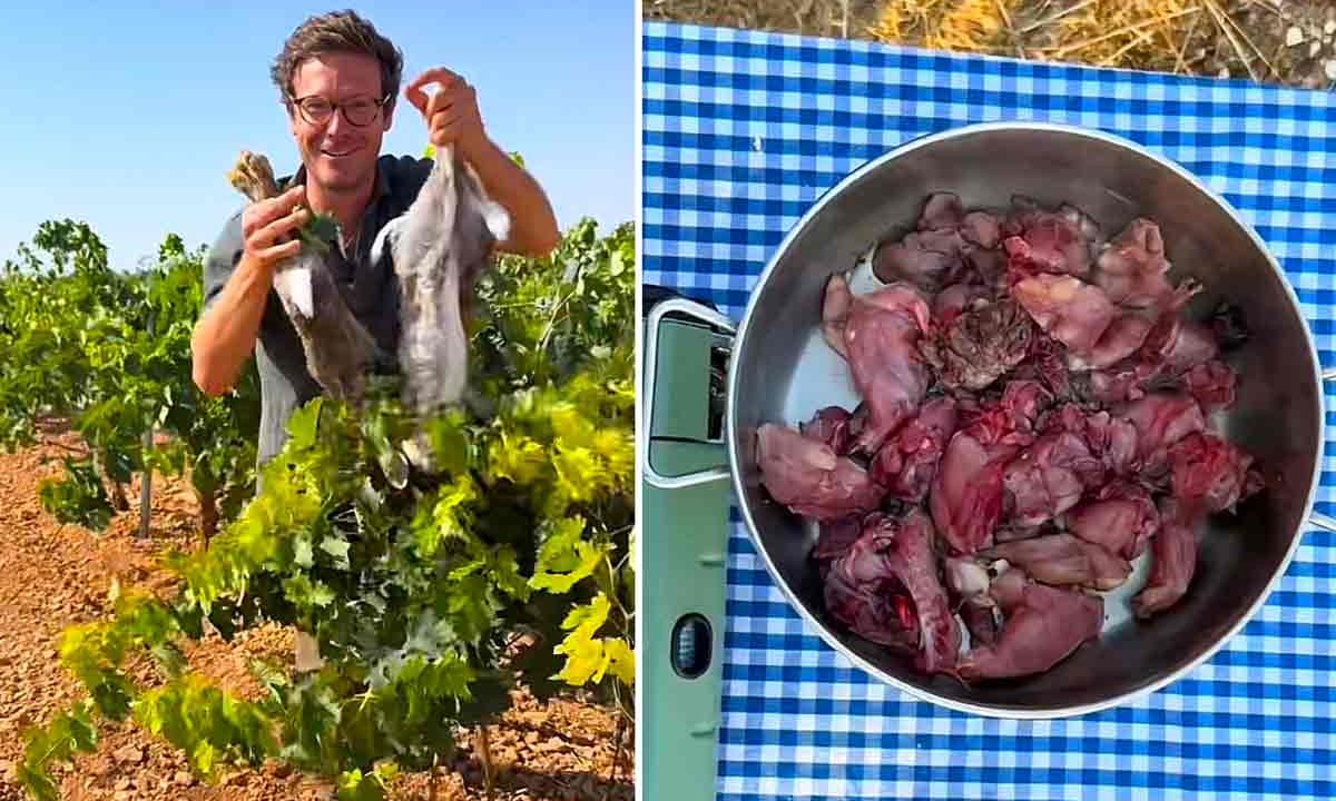 RECETA-CONEJO-DE-MONTE