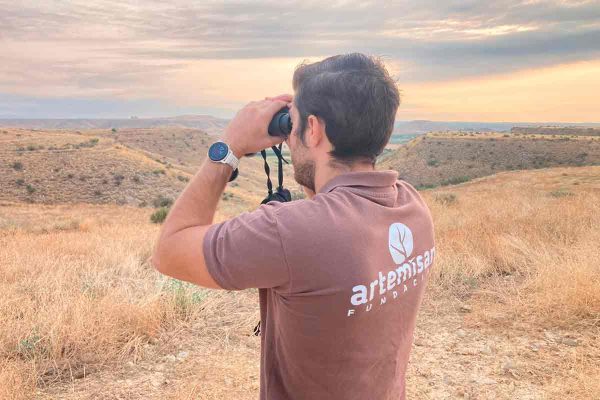 Los datos de los cazadores entran en los informes oficiales del MITECO.