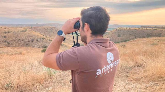 Los datos de los cazadores entran en los informes oficiales del MITECO.