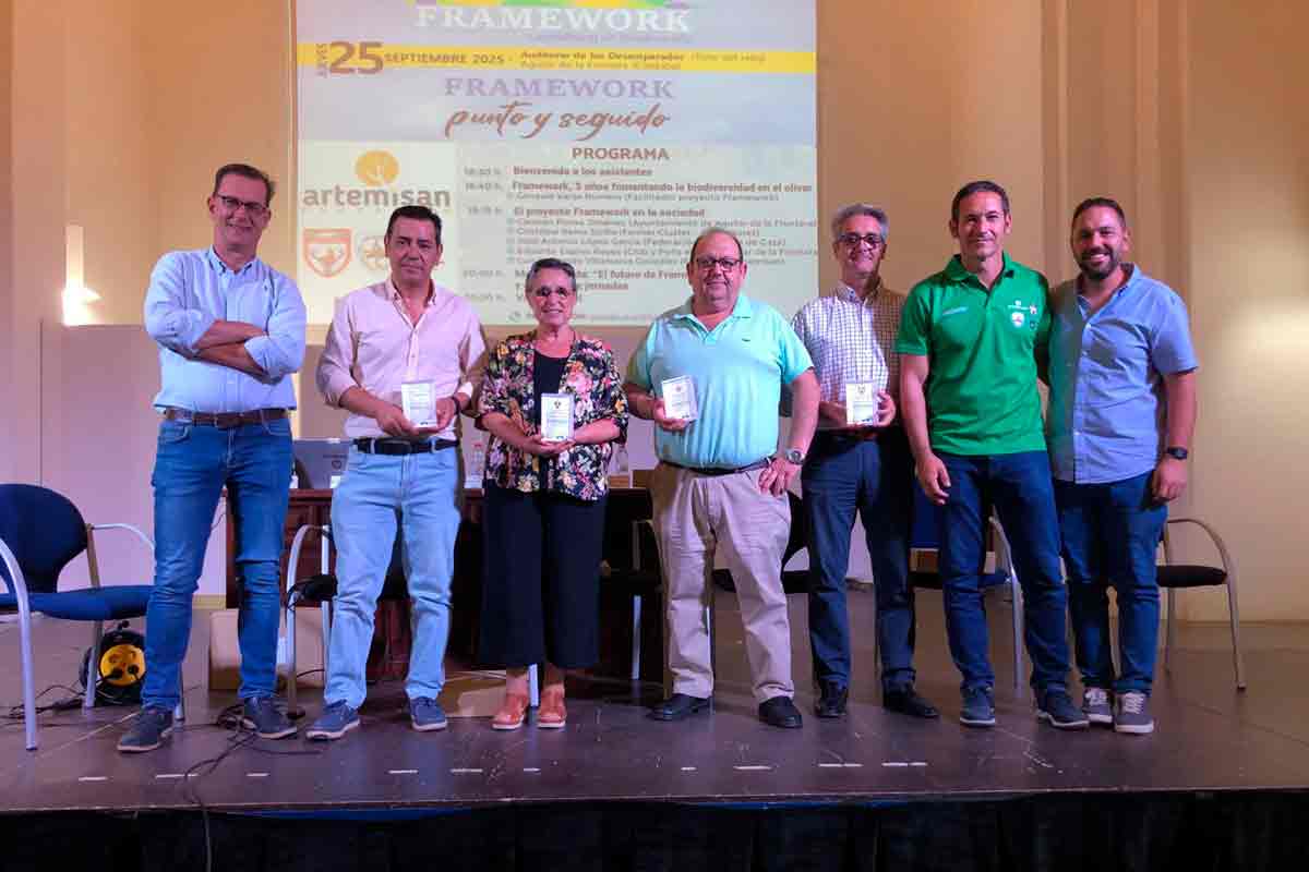 FRAMEWORK-AGUILAR-DE-LA-FRONTERA