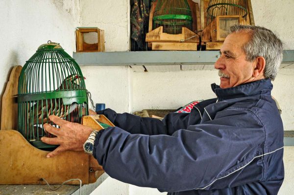 Cazador de perdiz con reclamo