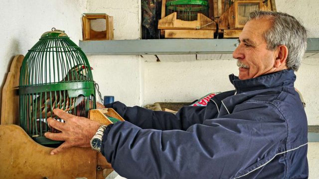 Cazador de perdiz con reclamo