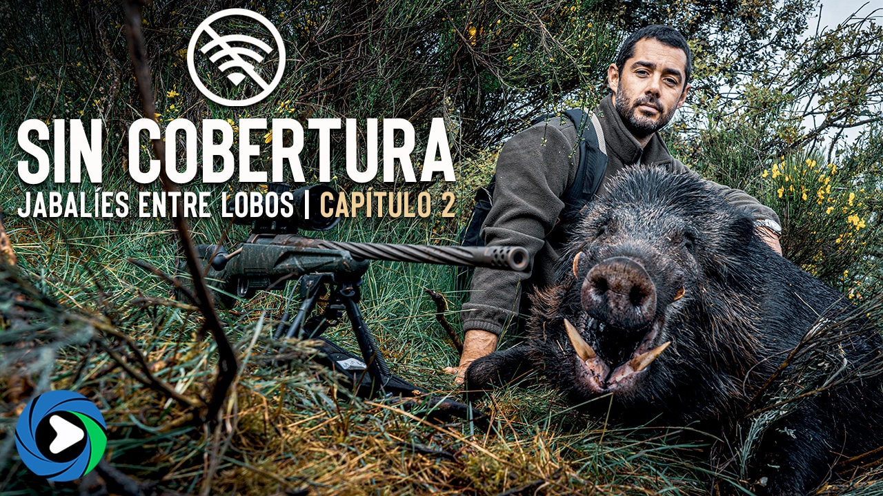 CAZANDO JABALÍES ENTRE LOBOS | SIN COBERTURA | Ep. 2 | Rececho y aventura con RUGER y BUSHNELL