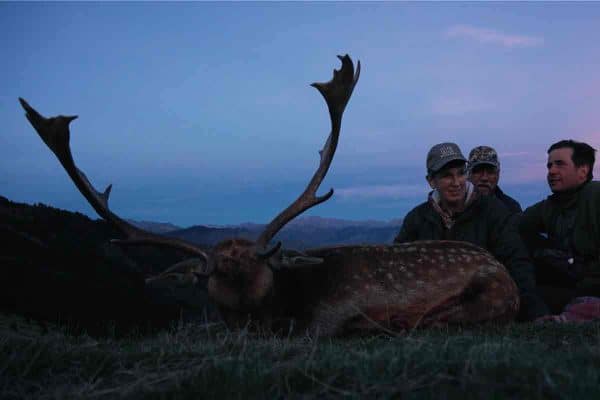 Caza en Los Pirineos: gamo, muflón y rebeco
