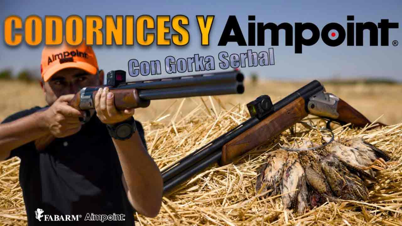 ARDESA MENOR #1 | La codorniz con Aimpoint y Fabarm