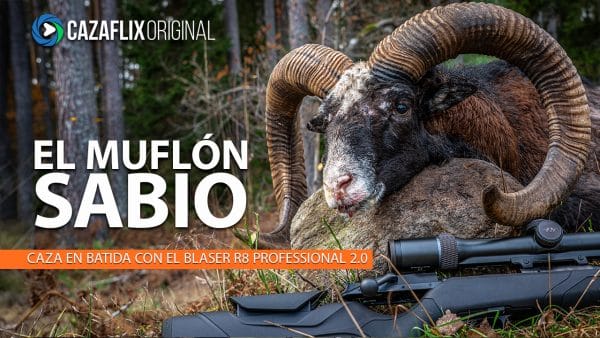 EL MUFLÓN SABIO | Blaser 2.0 Professional