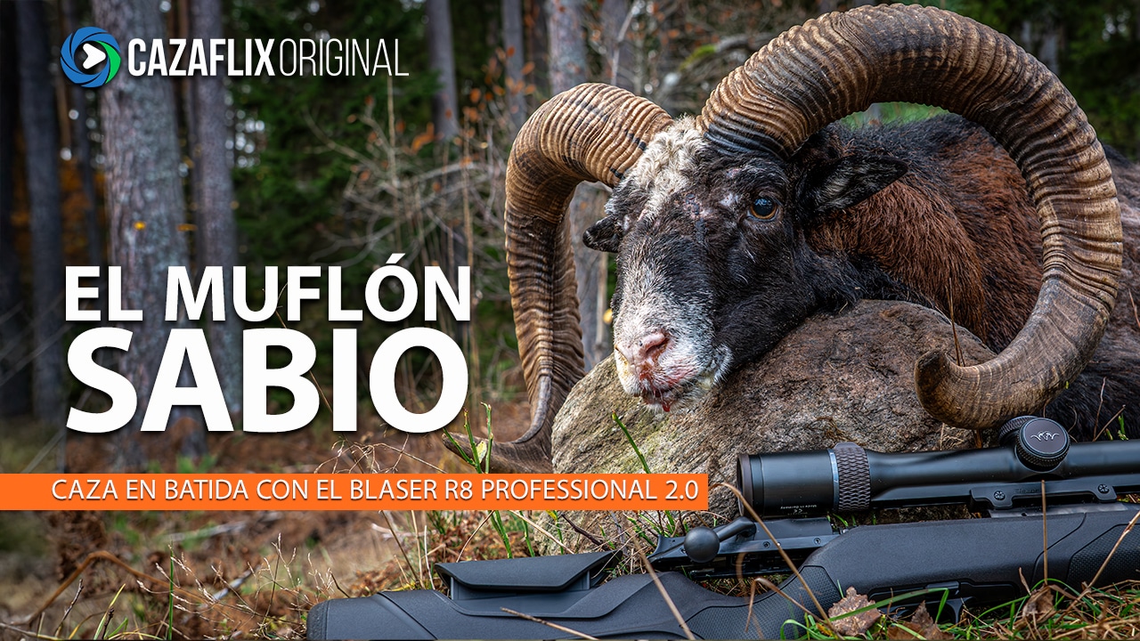 EL MUFLÓN SABIO | Blaser 2.0 Professional