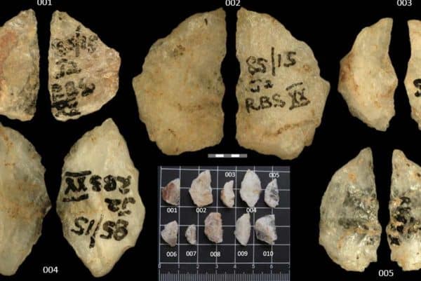 Detalle de cinco antiguos dardos envenenados con alcaloides