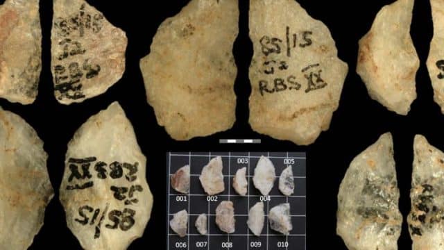 Detalle de cinco antiguos dardos envenenados con alcaloides