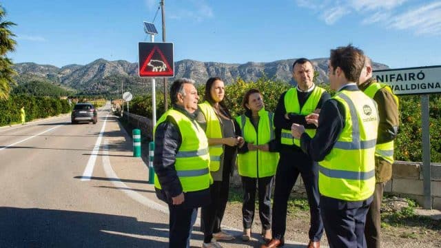 La Federación de Caza de la Comunitat Valenciana participa en un sistema piloto de señalización inteligente para prevenir accidentes con jabalíes