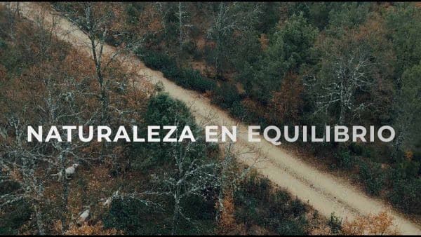 Naturaleza en equilibrio