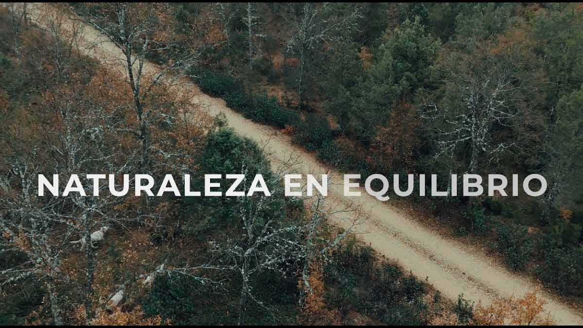 Naturaleza en equilibrio